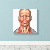 Toile Anatomie Des Muscles Du Visage Et Du Cou Humains, (Insitu (Plancher de Bois))