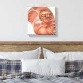 Toile Anatomie Des Muscles Du Visage Humain (Insitu(Chambre))