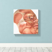 Toile Anatomie Des Muscles Du Visage Humain (Insitu (Plancher de Bois))