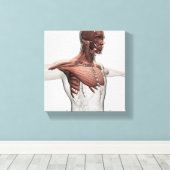 Toile Anatomie Des Muscles Masculins Dans Le Corps Supér (Insitu (Plancher de Bois))