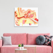 Toile Anatomie Des Oreilles Humaines (Insitu(Salon))
