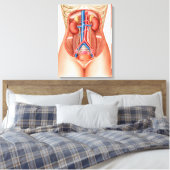 Toile Anatomie Des Organes Humains (Insitu(Chambre))
