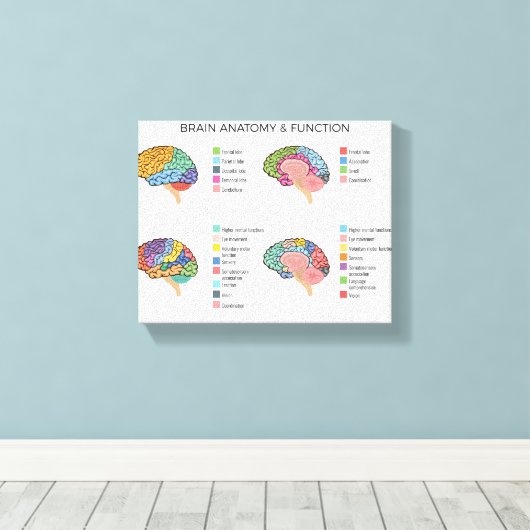 Toile Anatomie du cerveau (Insitu (Plancher de Bois))