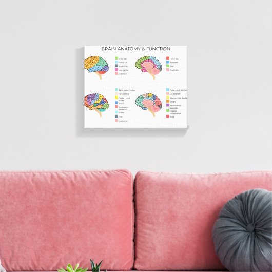 Toile Anatomie du cerveau (Insitu(Salon))