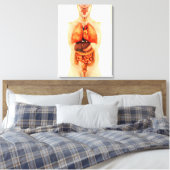 Toile Anatomie Du Corps Humain Montrant Des Organes Enti (Insitu(Chambre))