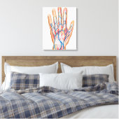 Toile Anatomie Du Dos De La Main Humaine (Insitu(Chambre))