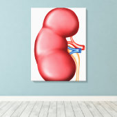 Toile Anatomie Du Rein Humain (Insitu (Plancher de Bois))