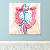 Toile Anatomie Du Système De Veine Abdominale Humaine (Insitu (Plancher de Bois))