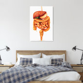 Toile Anatomie Du Système Digestif Humain, Vue Avant (Insitu(Chambre))