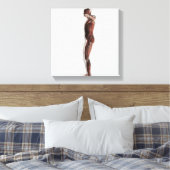 Toile Anatomie Du Système Musculaire Masculin, Vue Côtiè (Insitu(Chambre))