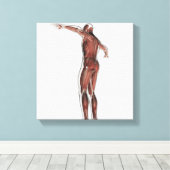 Toile Anatomie Du Système Musculaire Masculin, Vue Posté (Insitu (Plancher de Bois))
