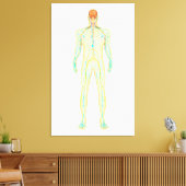 Toile Anatomie Du Système Nerveux Et Lymphatique Humain (Insitu(Salon))