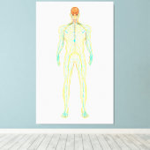 Toile Anatomie Du Système Nerveux Et Lymphatique Humain (Insitu (Plancher de Bois))