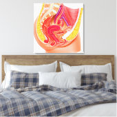 Toile Anatomie Du Système Reproductif Féminin 1 (Insitu(Chambre))