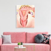 Toile Anatomie Du Système Reproductif Féminin 2 (Insitu(Salon))
