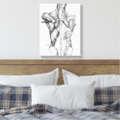 Toile Anatomie noire et blanche Muscles de dos d'art (18 (Insitu(Chambre))