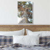 Toile Ancien pin (Insitu(Chambre))