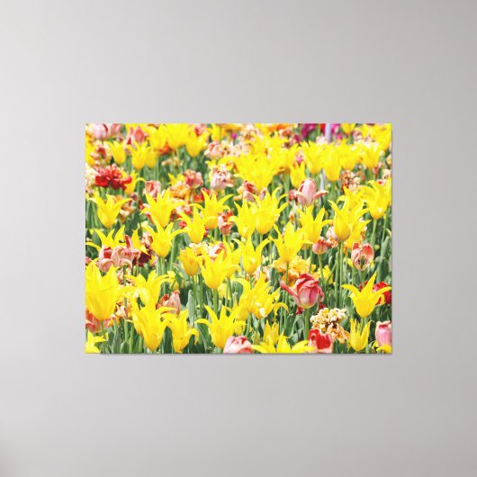 Toile And Life Goes On (Recto)