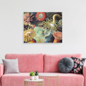 Toile Anémone de mer Nature scientifique Océan (Insitu(Salon))