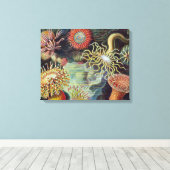 Toile Anémone de mer Nature scientifique Océan (Insitu (Plancher de Bois))