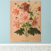 Toile Anemone Japonica Rosea Exquise Vintage Botanique (Insitu (Plancher de Bois))