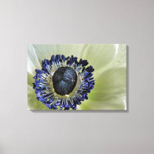 Toile Anemone Mistral Panda (Recto)