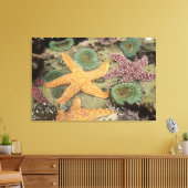 Toile Anémones géantes vertes et étoiles de mer ocres (Insitu(Salon))