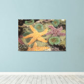 Toile Anémones géantes vertes et étoiles de mer ocres (Insitu (Plancher de Bois))