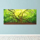 Toile Angel Oak (Insitu (Plancher de Bois))