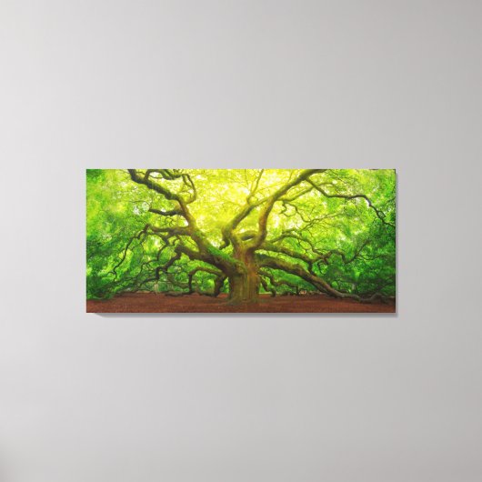Toile Angel Oak (Recto)