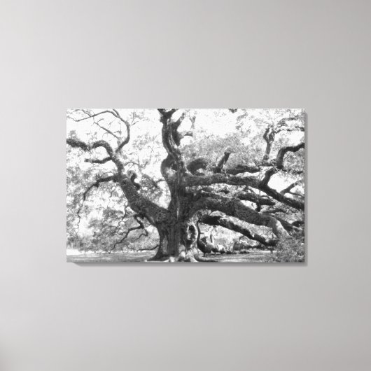 Toile Angel Oak on canvas (Recto)