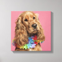 Anglais Cocker Spaniel (10 mois)