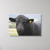 Toile Angus black beef bull (Recto)
