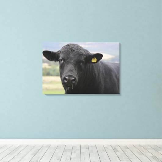 Toile Angus black beef bull (Insitu (Plancher de Bois))
