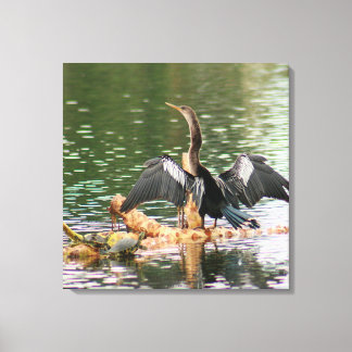 Toile Anhinga Bird Canvas Imprimer