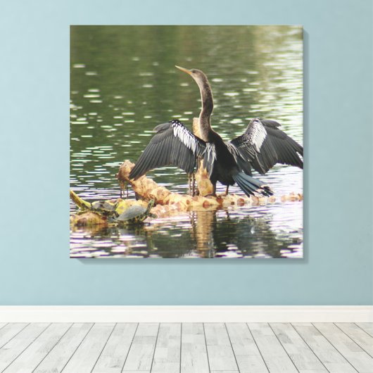 Toile Anhinga Bird Canvas Imprimer (Insitu (Plancher de Bois))