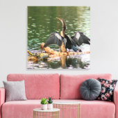 Toile Anhinga Bird Canvas Imprimer (Insitu(Salon))