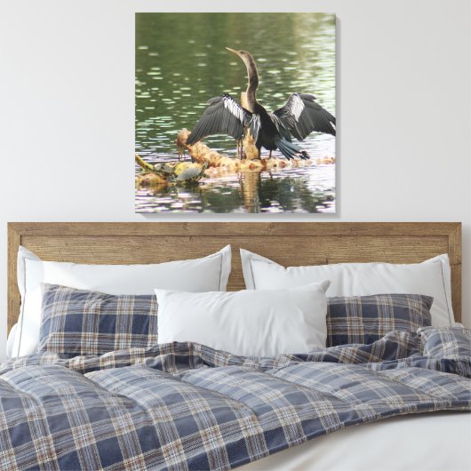 Toile Anhinga Bird Canvas Imprimer (Insitu(Chambre))