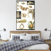 Toile Animaux agressés peints sur Arrière - plan de crèm (Insitu(Chambre))