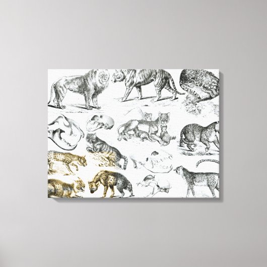 Toile Animaux carnivores (Recto)