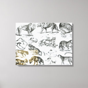 Toile Animaux carnivores