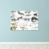 Toile Animaux carnivores (Insitu (Plancher de Bois))