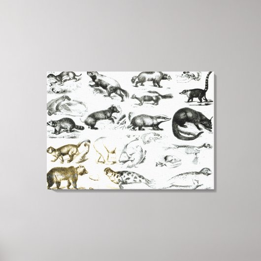 Toile Animaux carnivores (Recto)