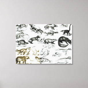 Toile Animaux carnivores