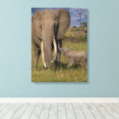 Toile Animaux de bébés cutest | Amama Elephant Avec Bébé (Insitu (Plancher de Bois))
