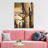 Toile Animaux de bébés cutest | Baby Elephant & Mama (Insitu(Salon))