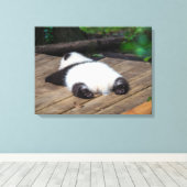 Toile Animaux de bébés cutest | Bébé Géant Panda Dormir (Insitu (Plancher de Bois))