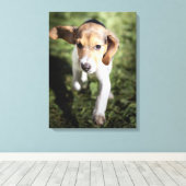Toile Animaux de bébés cutest | Chiot Beagle (Insitu (Plancher de Bois))