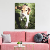 Toile Animaux de bébés cutest | Chiot Beagle (Insitu(Salon))