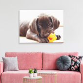 Toile Animaux de bébés cutest | Chocolat Labrador Puppy (Insitu(Salon))